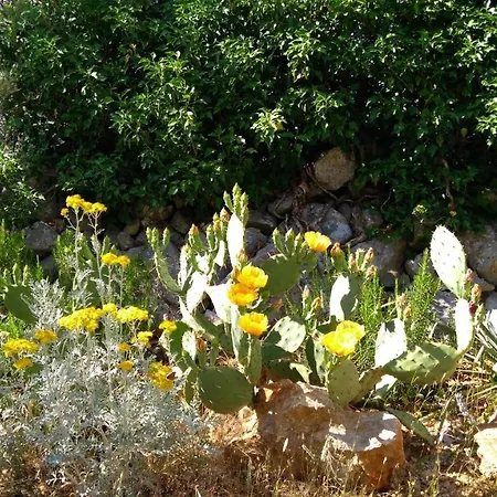 Ruza Apartment Brzac