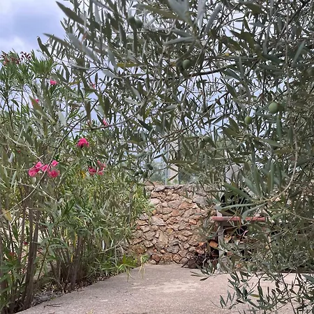 Διαμέρισμα Ruza *