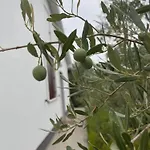 Ruza דירה Brzac