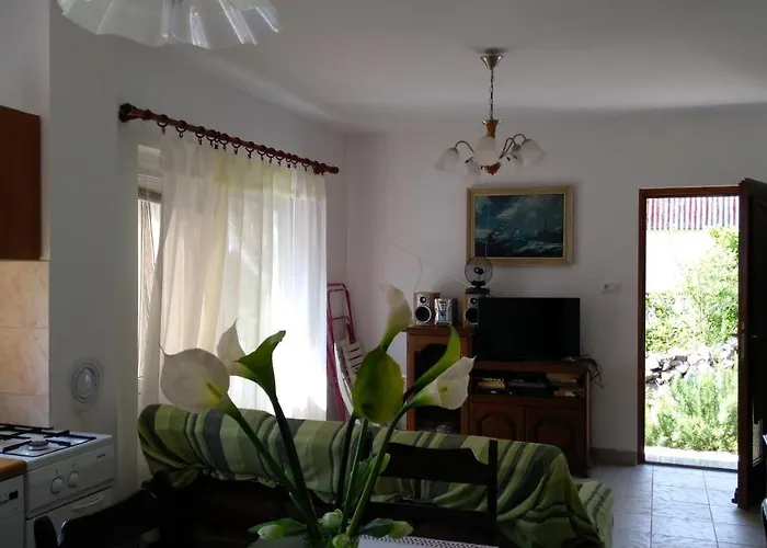 Ruza Apartman Brzac