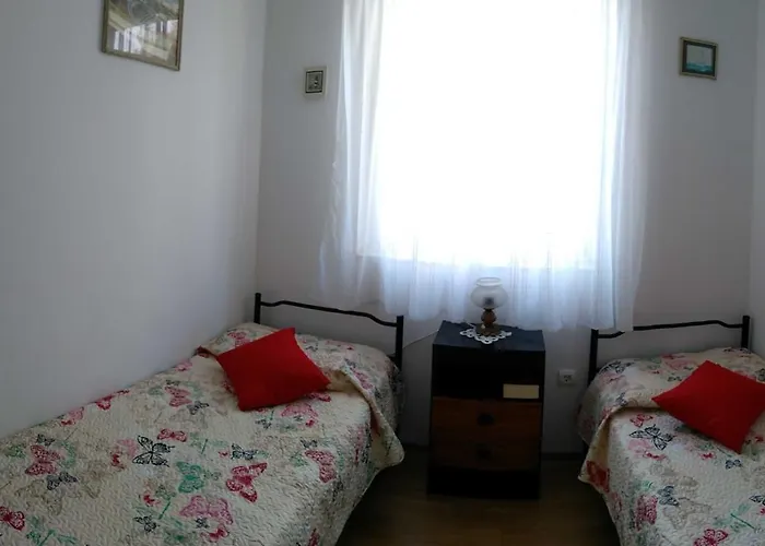 Ruza Apartman Brzac
