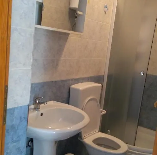 Apartman Ruza Brzac