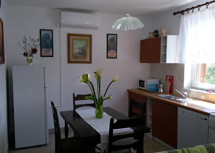 Ruza Apartman Brzac