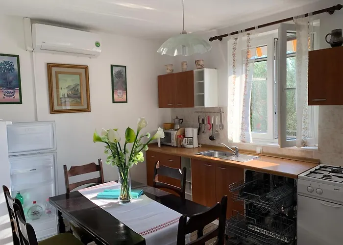 Apartman Ruza *